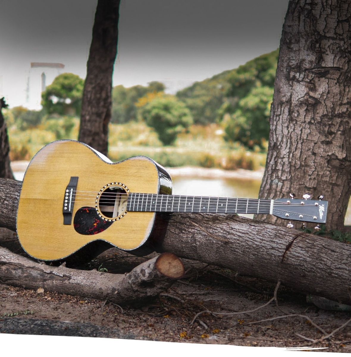 Home [stmatthewguitars.com]